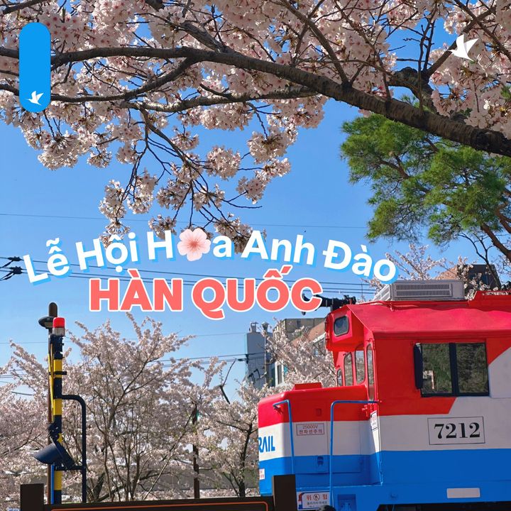 [✈🇻🇳] Traveloka Vietnam – Sống Trải Nghiệm ✈ Top1Travel 🌏 – #TravelokaKhamPha 🌸LẠC LỐI TẠI JINHAE : MƯỜI DẶM GIÓ XUÂN NHUỐM SẮC HỒNG…