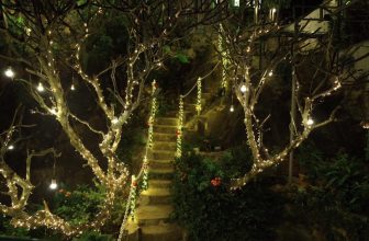 [☕️🇻🇳] LLightroom Coffee 🥤 Top1Coffee ☕️ Tranh thủ trang trí sớm cho các bạn lên sống ảo nè
, shares-1✔️ , likes-169❤️️ , date-2018-11-21 03:27:54🇻🇳🇻🇳🇻🇳📰🆕