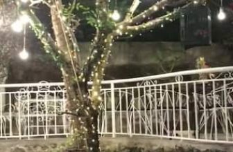 [☕️🇻🇳] LLightroom Coffee 🥤 Top1Coffee ☕️ Noel đã tới chưa các bạn
, shares-0✔️ , likes-12❤️️ , date-2019-12-12 02:14:27🇻🇳🇻🇳🇻🇳📰🆕