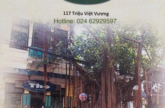 [☕️🇻🇳] Cafe Thọ – Thọ cafe là quán cafe nổi tiếng lâu đời 🥤 Top1Coffee ☕️  , shares-0✔️ , likes-18❤️️ , date-2020-03-14 07:13:16🇻🇳🇻🇳🇻🇳📰🆕