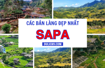 [🍜🥤🇻🇳] Top 10 bản làng ở Sapa đẹp như cổ tích, khiến du khách mê mẩn