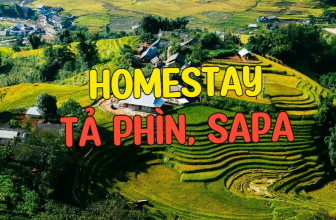 [🍜🥤🇻🇳] Top 10 homestay ở Tả Phìn Sapa lãng mạn, view “đẹp quên lối về”