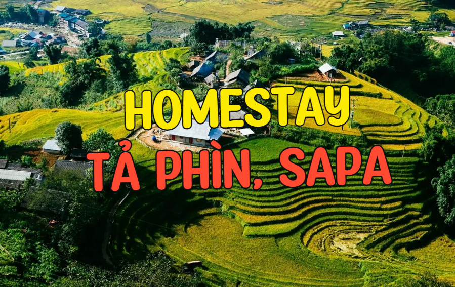 [☕️🇻🇳] Windmills Coffee Đà Lạt – Trà sữa Ly Chai 🥤 Top1Coffee ☕️ Cafe vlog | Choco Mint  #windmills #Windmillscoffee #cafevlog #dalatcoffee #CoffeeLovers #coffeetime
, shares-0✔️ , likes-0❤️️ , date-2024-03-30 09:42:17🇻🇳🇻🇳🇻🇳📰🆕