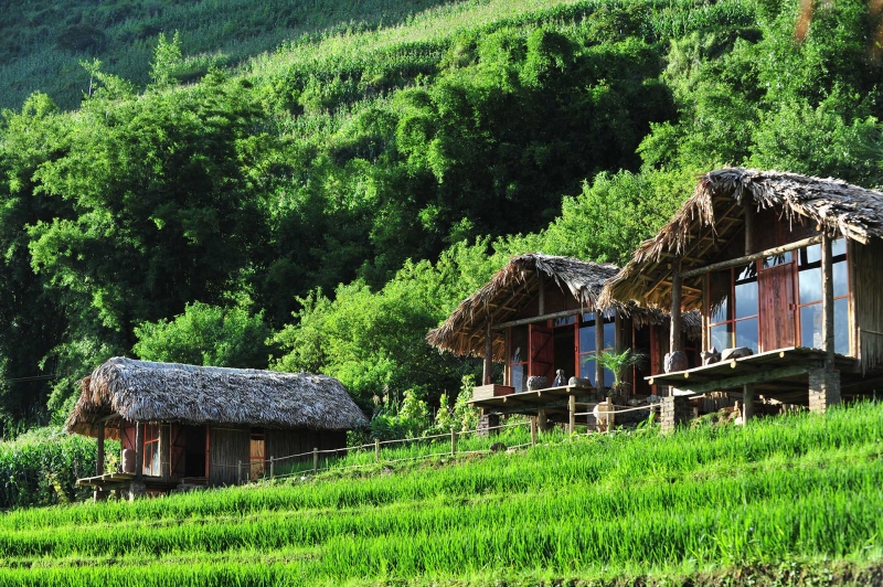 [🍜🥤🇻🇳] Bật mí 10 homestay ở Tả Van Sapa view thơ mộng, đẹp ngất ngây