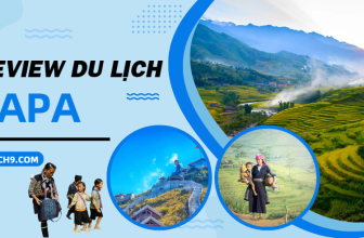 [🍜🥤🇻🇳] đi đâu, ăn gì, lưu ý điều gì?