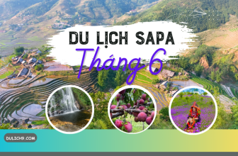 [🍜🥤🇻🇳] Du lịch Sapa tháng 6 có gì đẹp, có mưa không, nên đi đâu?