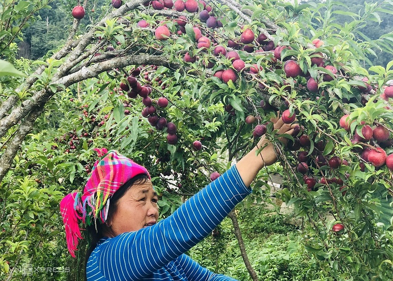 Du lịch Sapa tháng 6 nên chuẩn bị, lưu ý điều gì?