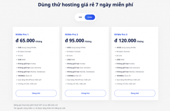 [💫🇻🇳] Khai Lộc Đầu Xuân – Ưu đãi 50%, ra mắt Pro Hosting phiên bản NVMe