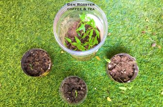 [☕️🇻🇳] ĐEN ROASTER Coffee – Tea 🥤 Top1Coffee ☕️ Cung đường trồng nhiều cây xanh sẽ mang lại sự trong lành, con người biết bảo vệ thiên nhiên là bảo vệ hơi thở của chính mình.
, shares-0✔️ , likes-11❤️️ , date-2020-11-09 04:07:07🇻🇳🇻🇳🇻🇳📰🆕