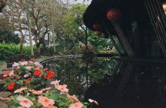 [☕️🇻🇳] CoCo’s Coffee 🥤 Top1Coffee ☕️ Có những ngày sương ngập lối trong khu vườn nhỏ, dẫu vậy chẳng thể che lấp đi những khóm hoa đang nở rộ tại nơi ấy ! Nhỏ bé và x , shares-0✔️ , likes-9❤️️ , date-2021-03-08 01:21:46🇻🇳🇻🇳🇻🇳📰🆕