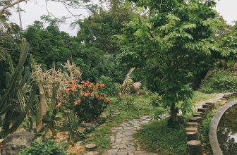 [☕️🇻🇳] CoCo’s Coffee 🥤 Top1Coffee ☕️ Khu vườn nhỏ của Cocco’s đã xanh mướt rồi này
Bạn đã ghé qua chưa ?
—————————
#cocoscoffee
57 Nguyễn Hữu Cảnh – Đồng Hới –  , shares-0✔️ , likes-8❤️️ , date-2021-03-11 01:05:34🇻🇳🇻🇳🇻🇳📰🆕