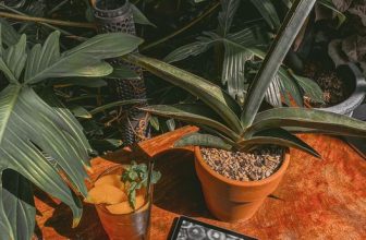 [☕️🇻🇳]1986 Tea-Coffee 🥤 Top1Coffee ☕️ Ịn cái mông nhỏ vào cái rừng cây to giữa trưa nóng ta nói nó phê chữ “ê” kéo dài…..
, shares-0✔️ , likes-13❤️️ , date-2022-02-15 07:17:43🇻🇳🇻🇳🇻🇳📰🆕