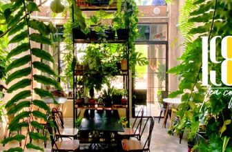 [☕️🇻🇳]1986 Tea-Coffee 🥤 Top1Coffee ☕️  , shares-0✔️ , likes-0❤️️ , date-2021-11-30 12:42:59🇻🇳🇻🇳🇻🇳📰🆕