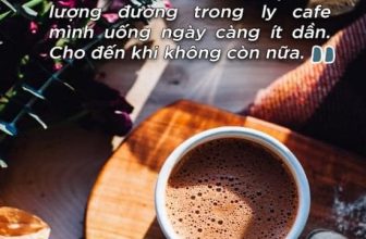 [☕️🇻🇳] GreenHouse coffee & tea 🥤 Top1Coffee ☕️ Trưởng thành là khi cảm nhận rằng lượng đường trong ly cà phê giảm dần và đến một ngày nó không còn nữa.
______________
65 Huỳ , shares-0✔️ , likes-2❤️️ , date-2022-10-12 03:05:02🇻🇳🇻🇳🇻🇳📰🆕