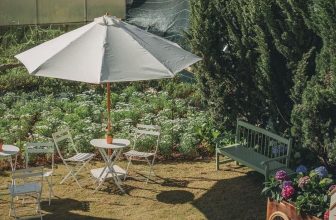 [☕️🇻🇳] Anaiis Concept – Café 🥤 Top1Coffee ☕️ 𝗡𝗴𝘂̛𝗼̛̀𝗶 𝗧𝗿𝗶 𝗞𝘆̉“Tri kỷ để không phải như tình yêu rồi sẽ biệt ly…”Chẳng có gì khiến một con người có thể trở nên thay đổi , shares-2✔️ , likes-17❤️️ , date-2023-03-24 00:38:54🇻🇳🇻🇳🇻🇳📰🆕