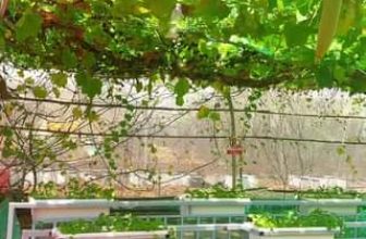 [☕️🇻🇳] Coffee HUỲNH HƯƠNG 🥤 Top1Coffee ☕️ Tiếp tục Series Cơm Trưa tại Coffee Huỳnh Hương
Được tặng Voucher cho lần dùng cơm kế tiếp …. CƠM TRƯA VỚI CÁC MÓN ĐỒ ĐỒNG-HẢI  , shares-0✔️ , likes-14❤️️ , date-2023-08-09 06:14:35🇻🇳🇻🇳🇻🇳📰🆕