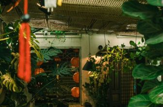 [☕️🇻🇳] BỤI Coffee Chill – Plants 🥤 Top1Coffee ☕️ Don’t let a bad day make you feel like you have a bad life. —–
Bụi Coffee
𝐀𝐝𝐝: 49 Sao Biển – Vĩnh Hải – TP Nha Trang
𝐅𝐚𝐧𝐩𝐚𝐠 , shares-0✔️ , likes-22❤️️ , date-2023-10-06 10:04:47🇻🇳🇻🇳🇻🇳📰🆕