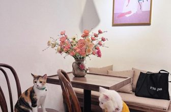 [☕️🇻🇳] Charm Coffee 🥤 Top1Coffee ☕️ Cuộc trò chuyện giữa 2 người bạn… Charm Coffee : ngõ 20 Láng Hạ, Đống Đa,HN
Opening hours: 07 am- 22h00 pm
Available , shares-0✔️ , likes-12❤️️ , date-2023-10-31 03:55:03🇻🇳🇻🇳🇻🇳📰🆕