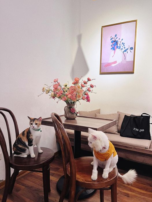 [☕️🇻🇳] Charm Coffee 🥤 Top1Coffee ☕️ Cuộc trò chuyện giữa 2 người bạn… Charm Coffee : ngõ 20 Láng Hạ, Đống Đa,HN
      Opening hours: 07 am- 22h00 pm
      Available , shares-0✔️ , likes-12❤️️ , date-2023-10-31 03:55:03🇻🇳🇻🇳🇻🇳📰🆕