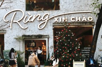 [☕️🇻🇳] ForDeer – Coffee with tree 🥤 Top1Coffee ☕️ 𝑮𝒊𝒂́𝒏𝒈 𝑺𝒊𝒏𝒉 𝒕𝒉𝒂̉ 𝒅𝒂́𝒏𝒈 𝒙𝒊𝒏𝒉 𝒕𝒂̣𝒊 𝑹𝒖̛̀𝒏𝒈,Ting ting ting… không khí mùa lễ hội đã ngập tràn khắp Rừng rồi đây! Rừng lại đón nhữn , shares-2✔️ , likes-25❤️️ , date-2023-12-12 13:00:29🇻🇳🇻🇳🇻🇳📰🆕