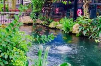 [☕️🇻🇳]  Minh Coffee 🥤 Top1Coffee ☕️ Những ngày cuối năm Quý Mão trong veo!
Minh Coffee – 5/1/2024
, shares-0✔️ , likes-20❤️️ , date-2024-01-05 02:31:51🇻🇳🇻🇳🇻🇳📰🆕