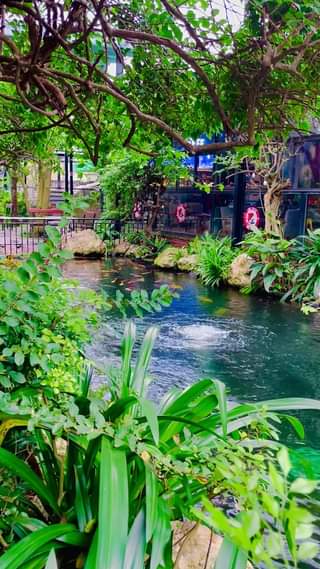 [☕️🇻🇳]  Minh Coffee 🥤 Top1Coffee ☕️ Những ngày cuối năm Quý Mão trong veo!
 Minh Coffee – 5/1/2024 
 , shares-0✔️ , likes-20❤️️ , date-2024-01-05 02:31:51🇻🇳🇻🇳🇻🇳📰🆕