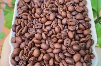 [☕️🇻🇳] ILOTA Coffee Roasters – Cafe rang xay 🥤 Top1Coffee ☕️ 𝐅𝐢𝐧𝐞 𝐑𝐨𝐛𝐮𝐬𝐭𝐚: 𝐗𝐮 𝐡𝐮̛𝐨̛́𝐧𝐠 𝐜𝐚̀ 𝐩𝐡𝐞̂ 𝐜𝐮̉𝐚 𝐭𝐮̛𝐨̛𝐧𝐠 𝐥𝐚𝐢Nhiều người trong ngành đều cho rằng Fine Robusta là xu hướng của tương lai , shares-0✔️ , likes-12❤️️ , date-2024-01-23 12:30:03🇻🇳🇻🇳🇻🇳📰🆕