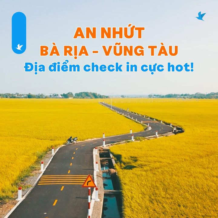 [✈🇻🇳] Traveloka Vietnam – Sống Trải Nghiệm ✈ Top1Travel 🌏 – #TravelokaKhamPha Đẹp ngất ngây cánh đồng lúa “gây sốt” ở Vũng Tàu hổm nay  …