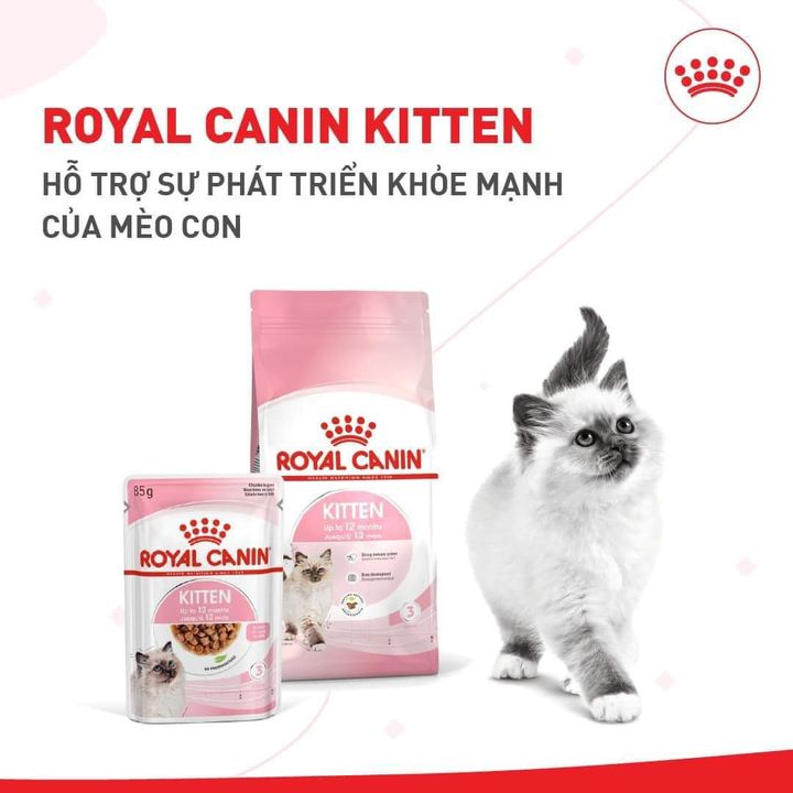 [🐾🇻🇳] FamiPet – Siêu Thị Cho Thú Cưng 🐶 Top1Pets 🐱 – 😻 Thức ăn cho mèo con ROYAL CANIN KITTEN hỗ trợ sức khỏe của mèo con. Trong giai  …