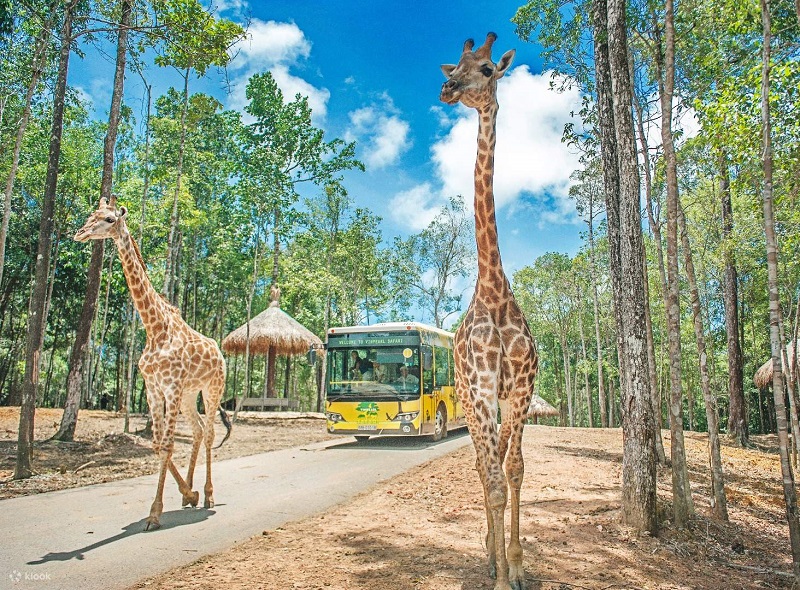 Review du lịch Phú Quốc tháng 5 có đẹp không, nên đi đâu chơi, tham quan?