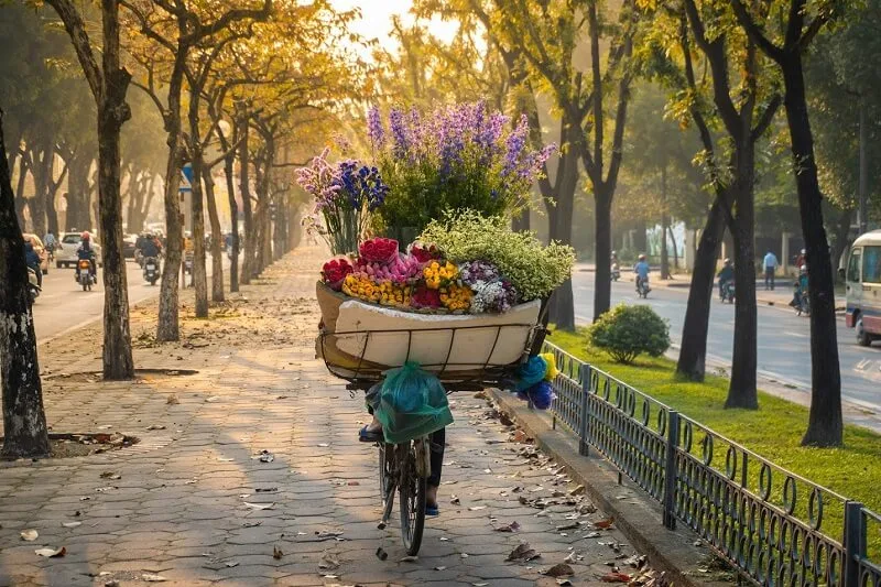 Những câu nói hay về mùa thu Hà Nội ngọt ngào và lãng mạn  [🛍️🇻🇳] fado.vn