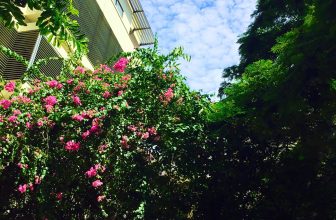 [☕️🇻🇳] ĐEN ROASTER Coffee – Tea 🥤 Top1Coffee ☕️ Riêng một góc trời tại #ĐENROASTERKhông gian tuyệt vời để làm việc, sáng tạo, hội họp hay gặp gỡ bạn bè vào những ngày cuối t , shares-0✔️ , likes-13❤️️ , date-2020-06-13 01:52:44🇻🇳🇻🇳🇻🇳📰🆕