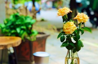 [☕️🇻🇳] ĐEN ROASTER Coffee – Tea 🥤 Top1Coffee ☕️ Có câu, uống cà phê thì dễ, thưởng thức cà phê mới khó.
Thưởng thức là nhấp một ngụm mà vẫn cảm nhận được mùi vị đậm đà của hạt  , shares-0✔️ , likes-21❤️️ , date-2020-06-12 04:56:07🇻🇳🇻🇳🇻🇳📰🆕