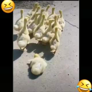 [☕️🇻🇳] Gu Coffee – Cung cấp và kinh doanh cafe sạch pha máy nguyên chất 100% 🥤 Top1Coffee ☕️ Hấp dẫn cuộc đua Top 4, liệu sau đêm nay thứ tự có thay đổi
 Mời quý vị đến xem :D
 , shares-0✔️ , likes-0❤️️ , date-2020-07-04 04:08:23🇻🇳🇻🇳🇻🇳📰🆕