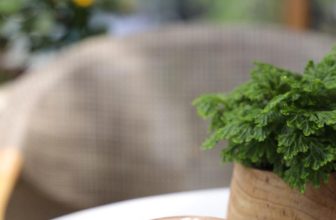 [☕️🇻🇳] Surona Coffee 🥤 Top1Coffee ☕️ Bạn Thích uống cà phê gì nhất ?Tình yêu đầu tiên của mình là cà phê #cappuccino vì nó là ly cà phê đầu tiên người ấy pha tặng , shares-0✔️ , likes-148❤️️ , date-2020-07-05 02:24:42🇻🇳🇻🇳🇻🇳📰🆕