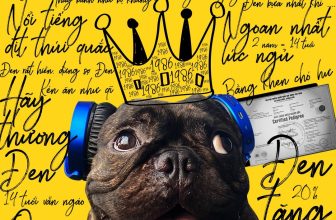 [☕️🇻🇳]1986 Tea-Coffee 🥤 Top1Coffee ☕️ Khách đến quán sẽ biết trong quán có 1 con mãnh thú, Mãnh thú có tên Đen với khuông mặt táo tợn nhưng tính tình ngáo ngơ, bá dơ, , shares-6✔️ , likes-72❤️️ , date-2020-07-30 04:00:41🇻🇳🇻🇳🇻🇳📰🆕