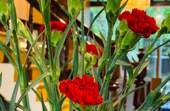 [☕️🇻🇳] ĐEN ROASTER Coffee – Tea 🥤 Top1Coffee ☕️ Thân khỏe – tâm an – tứ đại điều hoà
Mùng 1 an nhiên cả tháng hạnh phúc——————————————-
ĐENROASTER COFFEE & TEA
Số 37 ngõ , shares-0✔️ , likes-11❤️️ , date-2020-08-19 08:30:20🇻🇳🇻🇳🇻🇳📰🆕