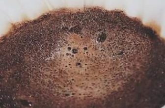 [☕️🇻🇳] EZ Coffee- Cung cấp Cafe rang xay pha máy 🥤 Top1Coffee ☕️ Nay bạn tôi tập V60 (•ө•)♡
, shares-0✔️ , likes-7❤️️ , date-2020-08-13 04:27:27🇻🇳🇻🇳🇻🇳📰🆕