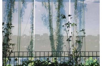 [☕️🇻🇳] Nocenco Coffee 🥤 Top1Coffee ☕️ Với nhiều người thì mùa thu với những cơn gió se lạnh, bầu trời xanh biếc và những chiếc lá vàng ro , shares-2✔️ , likes-23❤️️ , date-2020-10-03 00:57:51🇻🇳🇻🇳🇻🇳📰🆕