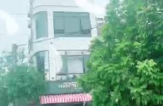 [☕️🇻🇳] Tea and Coffee 1995s Việt Trì 🥤 Top1Coffee ☕️ Các Bạn đừng lo về chỗ đậu xe nhé!!!. Đã rộng lại còn nhiều nữa ak
, shares-0✔️ , likes-3❤️️ , date-2020-10-16 07:00:12🇻🇳🇻🇳🇻🇳📰🆕