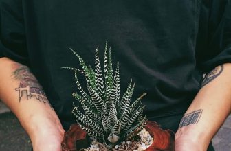 [☕️🇻🇳] EZ Coffee- Cung cấp Cafe rang xay pha máy 🥤 Top1Coffee ☕️ * Cuộc sống đừng để mình rơi vào những hoàn cảnh như sau :1 … DỰA DẪM … bởi một khi đã DỰA là chấp nhận bị DẪM.2 … CẦU , shares-0✔️ , likes-15❤️️ , date-2020-10-08 11:14:51🇻🇳🇻🇳🇻🇳📰🆕