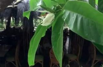 [☕️🇻🇳] CoCo’s Coffee 🥤 Top1Coffee ☕️ Khám phá thêm trong Video
, shares-0✔️ , likes-11❤️️ , date-2020-11-07 03:41:53🇻🇳🇻🇳🇻🇳📰🆕