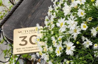 [☕️🇻🇳] Tháng 10 – October coffee – studio   🥤 Top1Coffee ☕️ Tôi nhấp chuột đóng lại bài văn viết dở dang…cảm xúc nhạt nhòa khiến tôi không còn hưng phấn viết tiếp. Ngước mắt ngó ra ngoài , shares-0✔️ , likes-4❤️️ , date-2020-11-01 03:46:49🇻🇳🇻🇳🇻🇳📰🆕