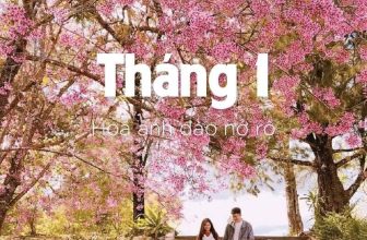 [☕️🇻🇳] NOC Coffee – Cafe bóng đá, cho thuê địa điểm offine, sinh nhật, sự kiện 🥤 Top1Coffee ☕️  VẺ ĐẸP CỦA ĐÀ LẠT QUA 12 THÁNG Tháng nào cũng có lý do để đi Đà Lạt :))) T.a.g ngay đứa bạn thân để hò hẹn một chuyến Đà Lạt cu , shares-0✔️ , likes-0❤️️ , date-2020-11-16 03:19:56🇻🇳🇻🇳🇻🇳📰🆕