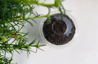 [☕️🇻🇳] WaterBiz Coffee – Cà phê và trà 🥤 Top1Coffee ☕️  Đố các cậu, sau lớp bánh cookies thơm ngọt tinh thiết the mát ấy.. là hương vị như thế nào không?
Một hương vị gắn liền với t , shares-0✔️ , likes-4❤️️ , date-2020-11-12 09:08:54🇻🇳🇻🇳🇻🇳📰🆕