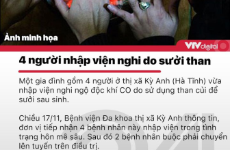 [☕️🇻🇳] NOC Coffee – Cafe bóng đá, cho thuê địa điểm offine, sinh nhật, sự kiện 🥤 Top1Coffee ☕️ Khởi đầu ngày làm việc mới với những tin tức cập nhật cùng VTV Digital
#Bantinsang #VTVDigital
, shares-0✔️ , likes-4❤️️ , date-2020-11-20 04:25:00🇻🇳🇻🇳🇻🇳📰🆕