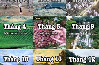 [☕️🇻🇳] NOC Coffee – Cafe bóng đá, cho thuê địa điểm offine, sinh nhật, sự kiện 🥤 Top1Coffee ☕️ MỘC CHÂU NÀO BÀ CON ƠI
KHOẢNH KHẮC ĐẸP NHẤT TRONG NĂM CỦA MỘC CHÂU
TOUR MAI CHÂU-MỘC CHÂU 2N1D
Lh:0988966525
, shares-0✔️ , likes-0❤️️ , date-2020-11-17 03:44:00🇻🇳🇻🇳🇻🇳📰🆕