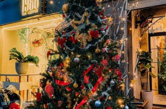 [☕️🇻🇳]1986 Tea-Coffee 🥤 Top1Coffee ☕️ Cây thông nhà “Sáu” mới trồng <3
, shares-2✔️ , likes-51❤️️ , date-2020-11-24 10:49:12🇻🇳🇻🇳🇻🇳📰🆕