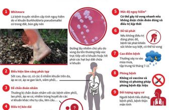 [☕️🇻🇳] NOC Coffee – Cafe bóng đá, cho thuê địa điểm offine, sinh nhật, sự kiện 🥤 Top1Coffee ☕️ Whitmore là một loại bệnh truyền nhiễm cấp tính nguy hiểm, gây tử vong nhanh. Bệnh chưa có vaccine tiêm phòng và không có phương , shares-0✔️ , likes-0❤️️ , date-2020-11-18 03:59:33🇻🇳🇻🇳🇻🇳📰🆕