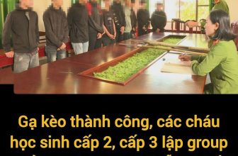 [☕️🇻🇳] NOC Coffee – Cafe bóng đá, cho thuê địa điểm offine, sinh nhật, sự kiện 🥤 Top1Coffee ☕️ CÁC CHÁU DẠO NÀY MANH ĐỘNG QUÁ ĐI THÔI…
Ngày 21-11, Công an phường Tân Lập, TP. Buôn Ma Thuột, tỉnh Đắk Lắk cho biết đã triệu , shares-0✔️ , likes-3❤️️ , date-2020-11-21 06:50:25🇻🇳🇻🇳🇻🇳📰🆕